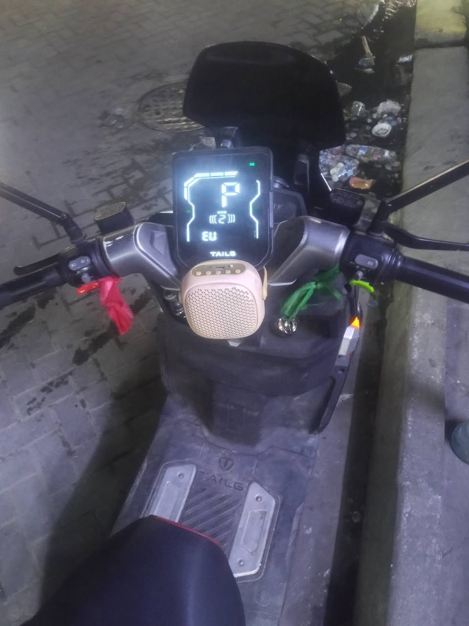 سكنس فحل • ريان