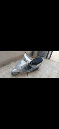 ماكس منغولي • سلف • كهربا شغالة
