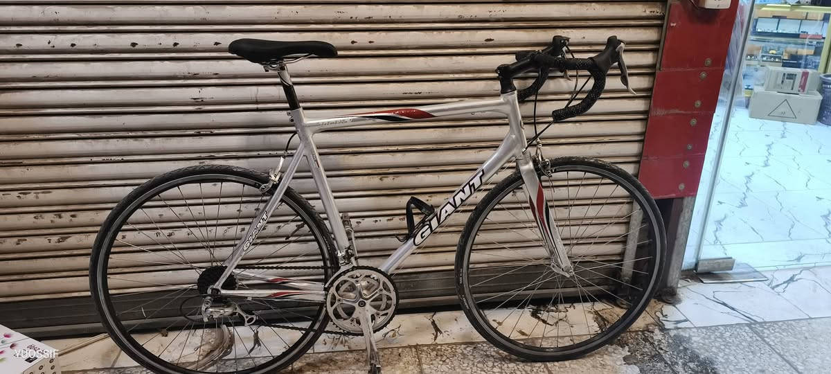 جاينت • سيستم ١٠٥ • فريم XL ٥٨.٥
