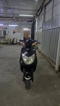 سكنس فحل • ياباني • ماشية ٢٢ الف