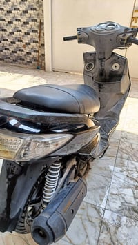 سكنس • ياباني • رخيص