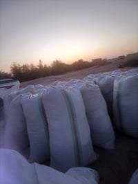 تبن جت • بزر • ٨٠