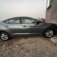نص فول • ٢٠١٩ • وارد امريكي