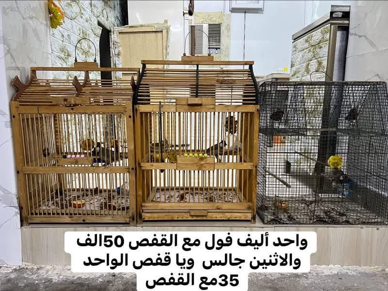 اغراض منزلية للبيع
مكان كركوك شارع القدس 

للتواصل 

***********

***********
