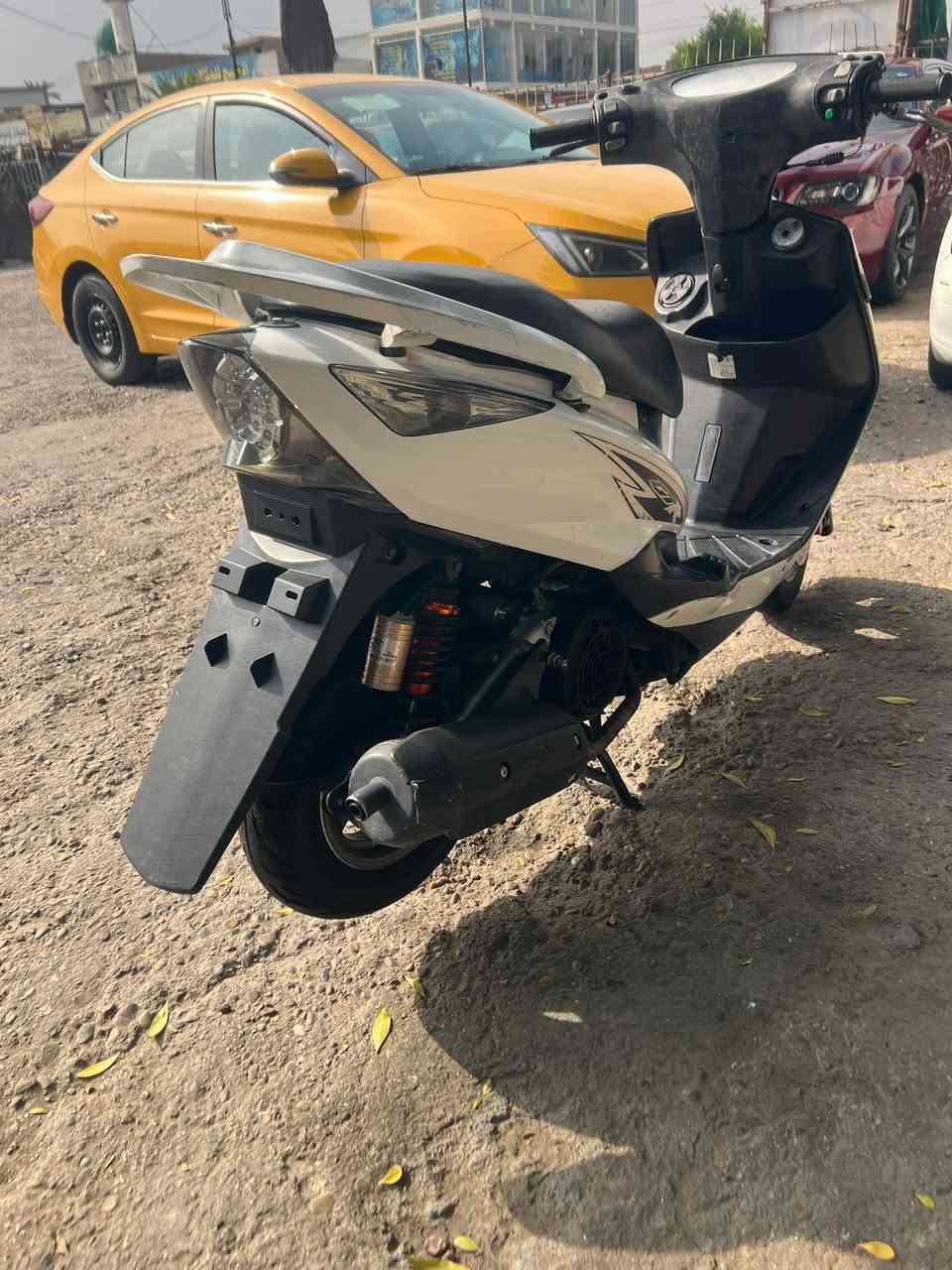 ثعلب • جديده • الشعله