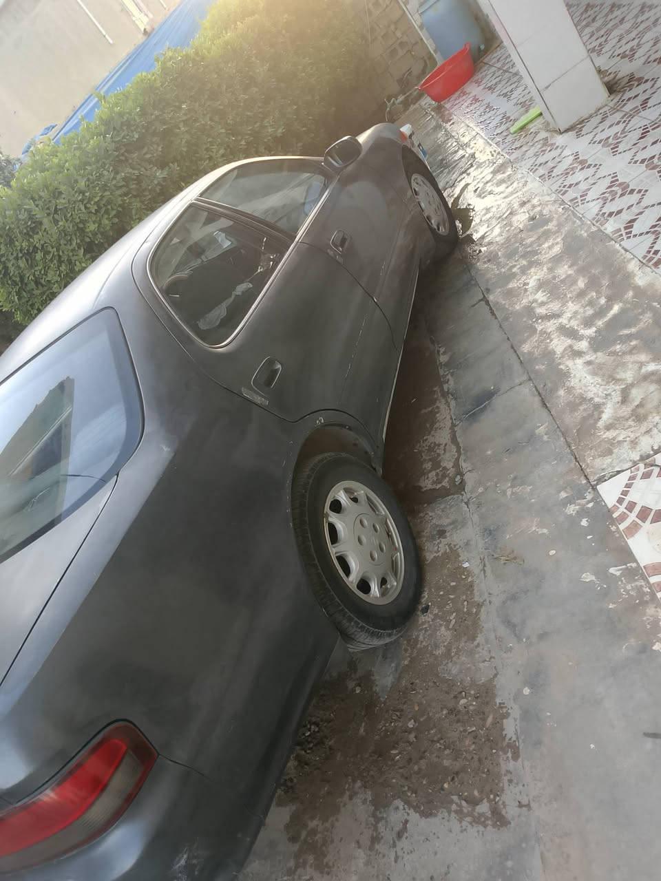 كرسته موديل 94محرك كير تبريد كفاله عامه مكفوله من صبغ وكص ونقل جثه طختهة بل جامرلق اليسره صبغهة ابلاد صدر امامي خلفي جديد سياره ماعوزهة اي شي سعر 54وبيهة مجال مكانهة اديالئ شهربان ‏‪***********‬‏
