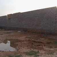 هيكل • ٢٠٠م • خدمات كاملة
