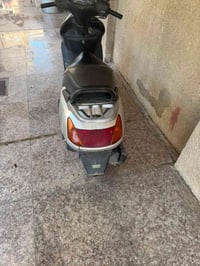 سبيسي • ياباني • سلف