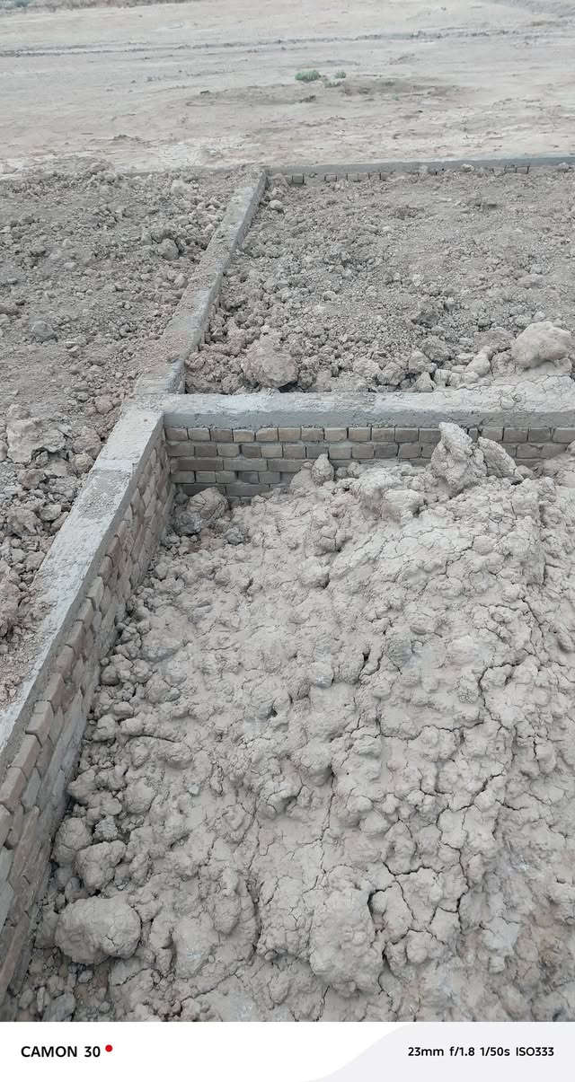النعومية • ٤٠٠م • بستان سيد طاهر