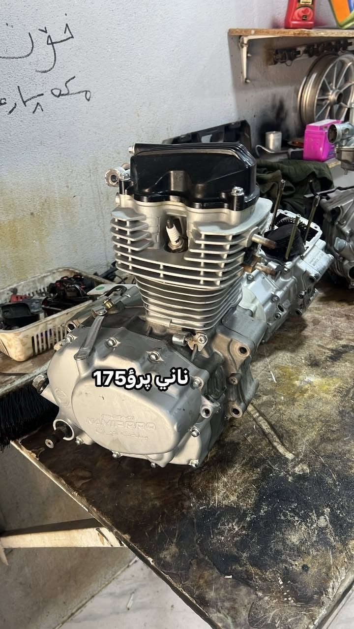 3محراكات شغلات لاصرف ولا بخار مضبوطات
نامي پرؤ 2020/175الف 
رابيدو 2025/١٧٥الف قفل
تايكر2020/100الف
عنوان كركوك رحيماوة ***********
