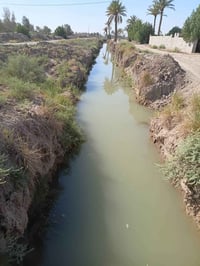 ٢٠ دونم • بيتين حديثين • بابل جبلة رشايد