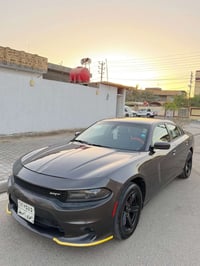 فول مواصفات • ٢٠٢٠ • رقم اربيل