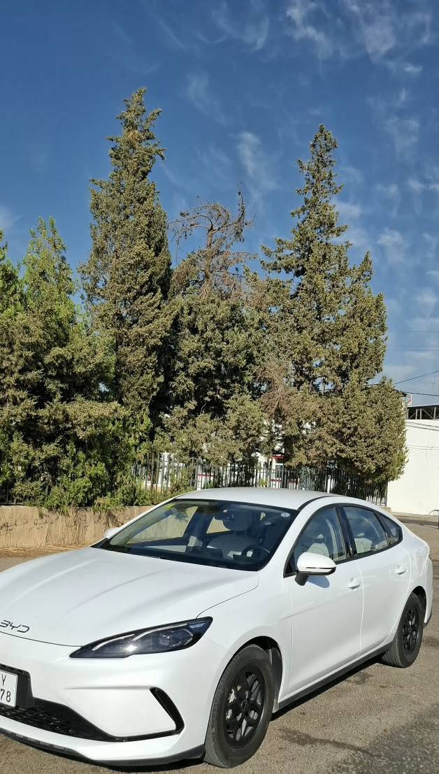 BYD 2025 🌟🌟  
2025 🚘🚘🚘
ماوەی ڕۆیشتن :   27 هەزار 
سەیارەکە تەنها  یەک pdr ی بچوکی هەیە 
نرخ خوار هەموو بازار 
132💵$💵$💣💣
📍📍شوێن :: هەولێر
📲📲*********** أربيل, العراق
