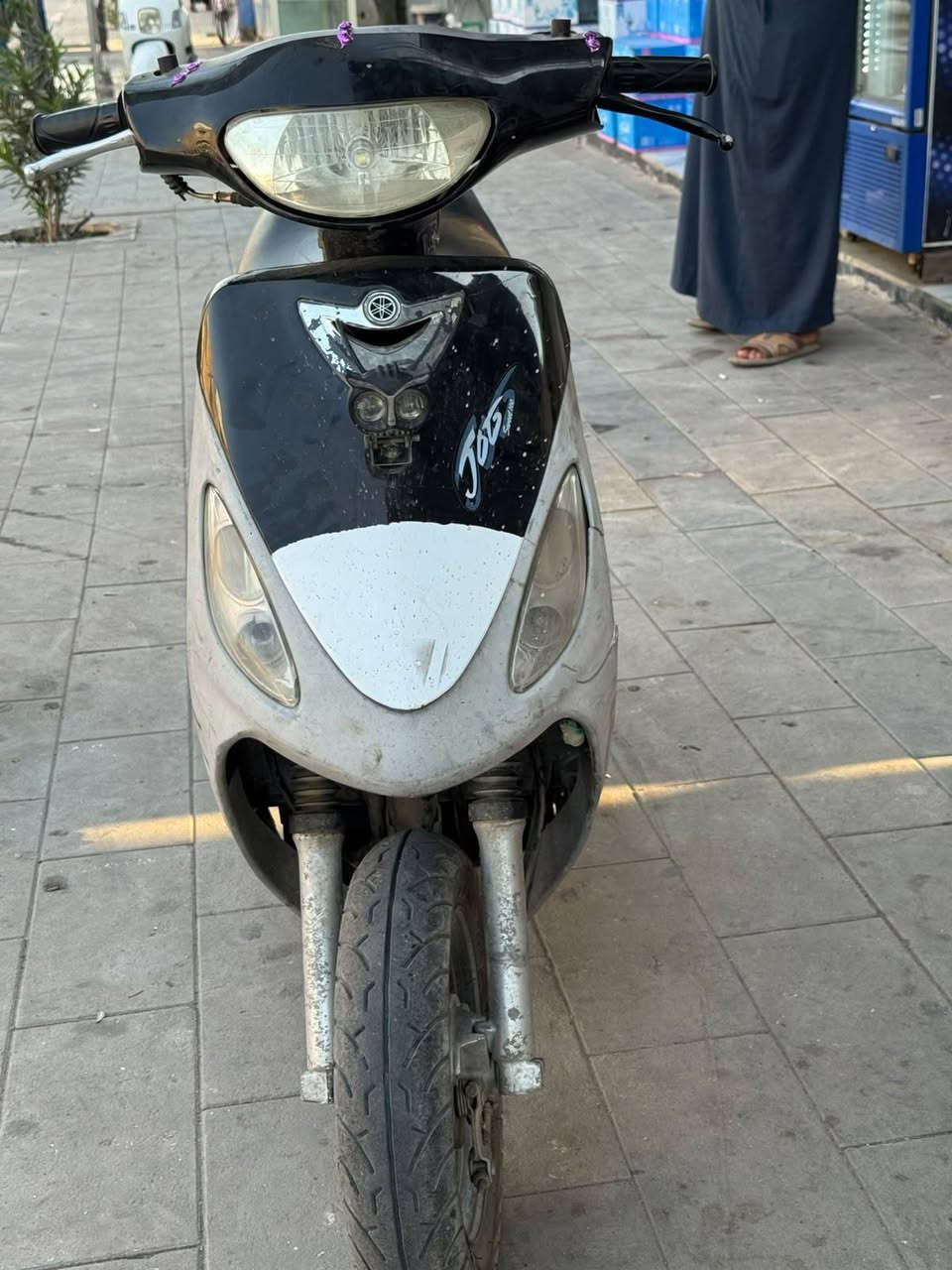 ماكس • قجمه • مفتوح