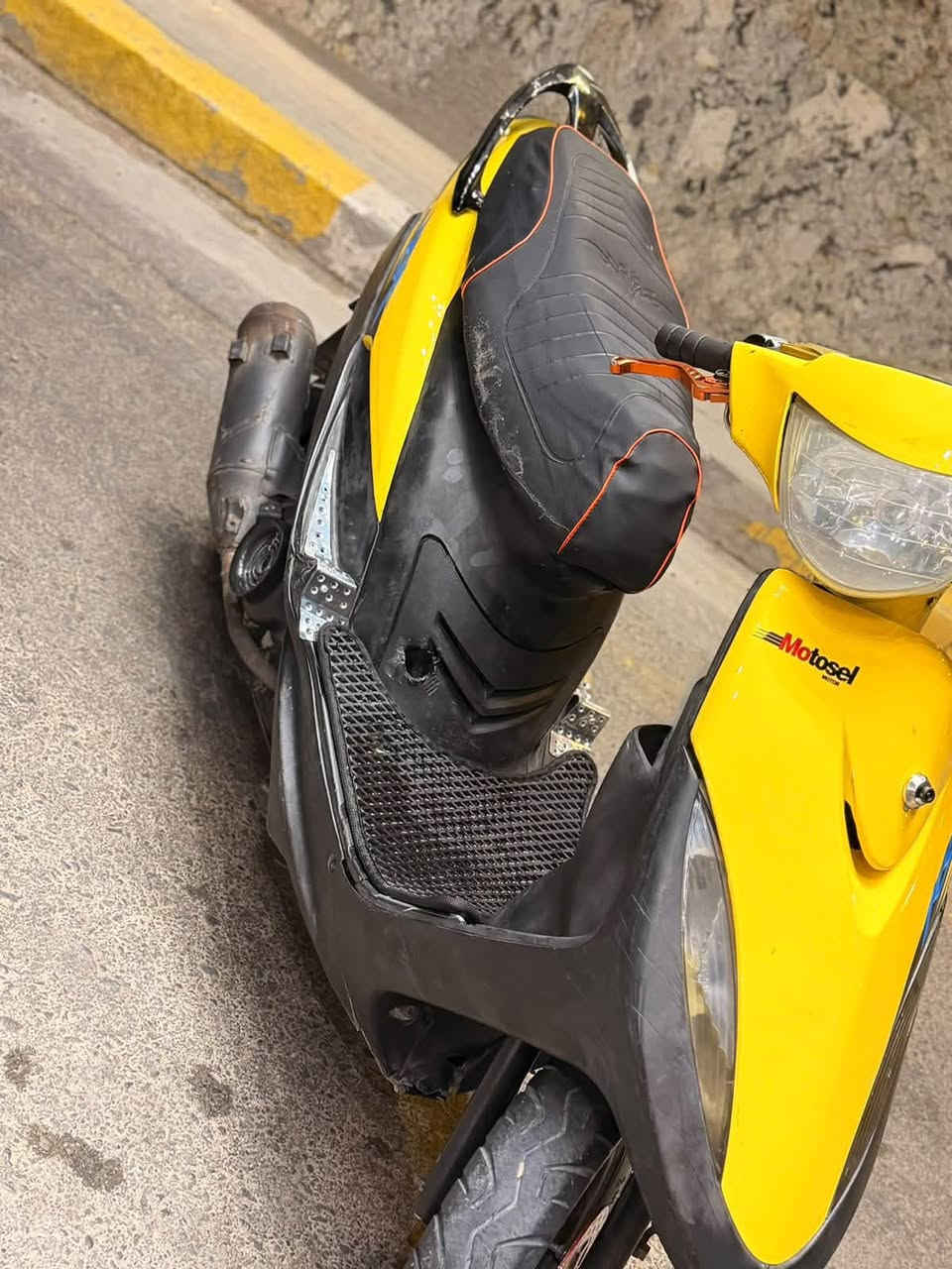 ماكس عدلة • سلف وهندل • بوشة ٤٩