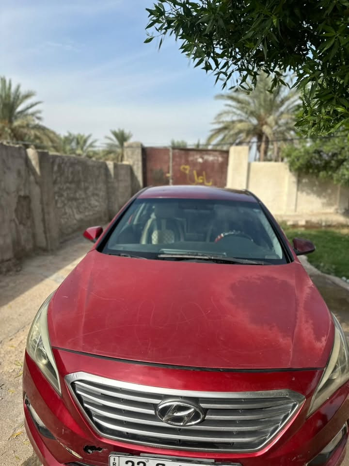 سوناتا • ٢٠١٥ • المحمودية