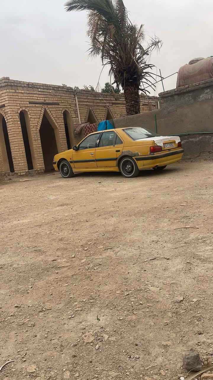 بيجو بارس • ٢٠١٣ • السمار السرير