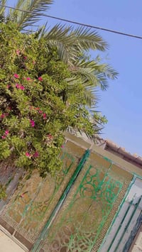 الزعفرانيه • سده الجنابين • ٢٠٠م