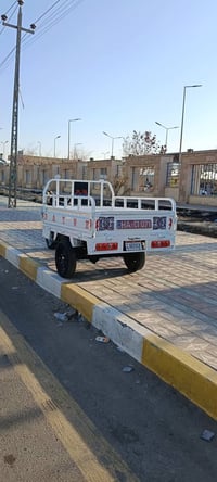 موديل ١٤ • أوراق كامله • مكفوله