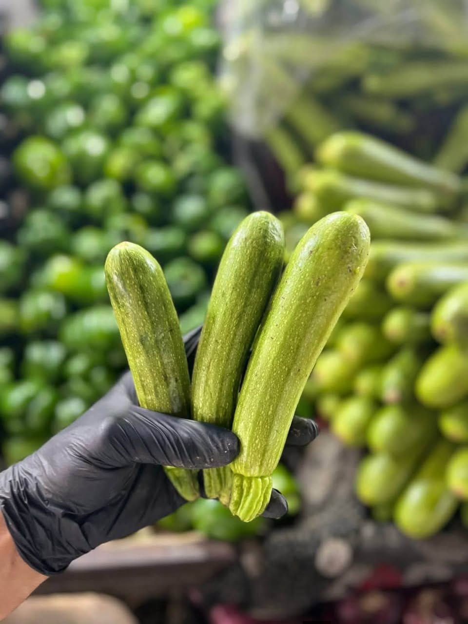 ماكو داعي تطلع للسوق بالحر والازدحام !
خضارك 🥦 وفاكهتك 🍓 توصلك لباب البيت 😌

اطلب الان المسواك الي تريده من طويريج دلفري
 وخليك مرتاح بالبيت 🍏🍋🥑

كل شي طازج وفريش يوصلك جاهز ونظيف
واي شي مايعجبكم يرجع مع المندوب .

التوصيل داخل طويريج والمناطق القريبة📍
وقت العمل من الساعة 8:30 صباحاً لغاية الساعة 12:00 منتصف الليل.
اطلب الان على الواتساب: ***********
طويريج دلفري ... خليك مرتاح 😌
#طوريج_دلفري #توصيل #طويريج #طلبات
