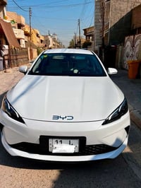 سيل ٥ • ٢٠٢٥ • مشي ٥٠٠٠