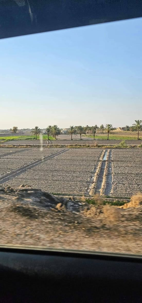 طابو زراعي • سند 25 • سبع البور