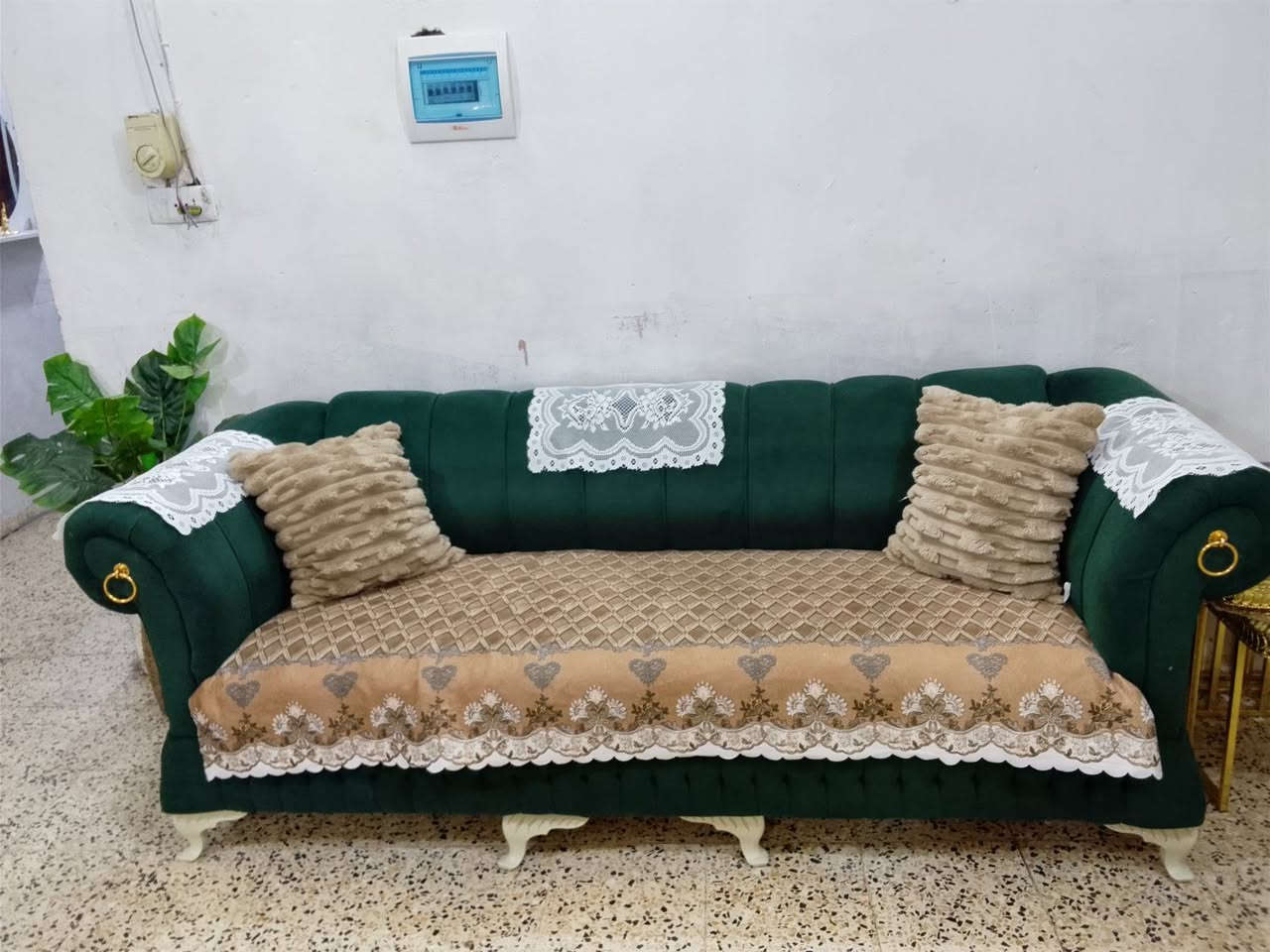لا توجد تفاصيل
