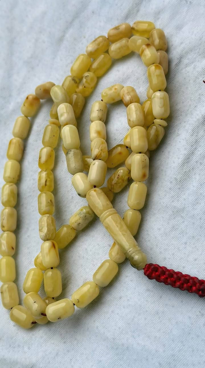 سبح كهرب • كويتي/كلينگرادي • مدينة الصدر