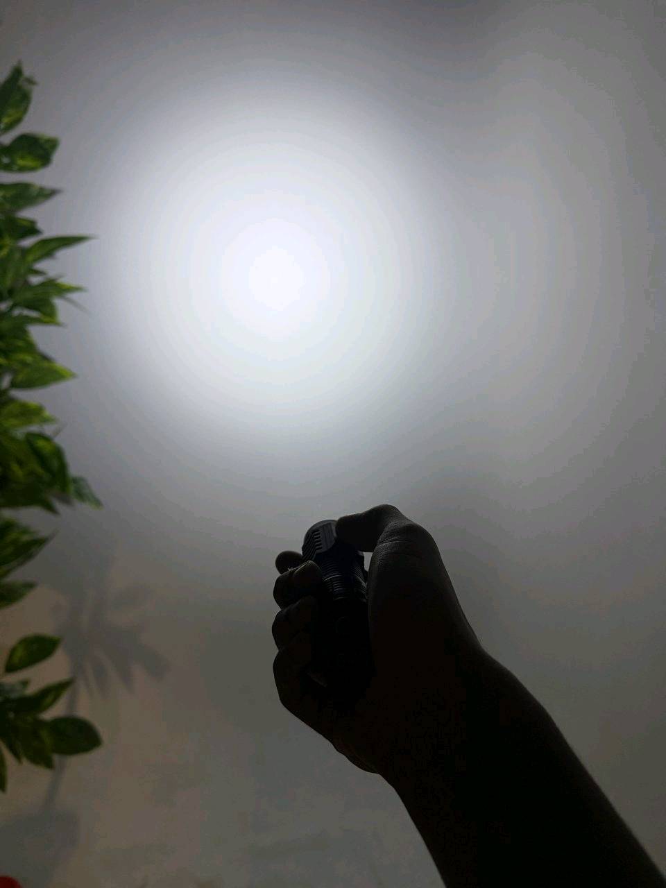 لايت اصلي درجة اولى