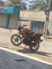 جيني باندا • بكلايت خلفي • بعقوبة