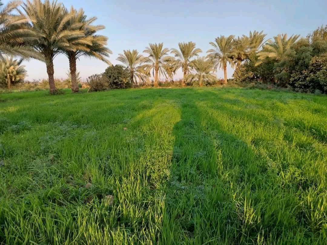 آخر 4 دوانم بلأرض وسعرهن كلهن ب 32
يعني ال 4 دوانم كلهن ب 32 مليون فرصه
ذهبيه جنس الارض طابو زراعي سند 25
حق التصرف والارض على شارع 10 متر
وواجهية الدونم الواحد 45×55 يعني مربع
العنوان تاجي سبع البور منطقة الشيخ عامر 
بلعيساويه تبعد عن سوك الشيح عامر 12
دقيقه وعن مدينة سبع البور 15 دقيقه 
للاستفسار واتساب ***********