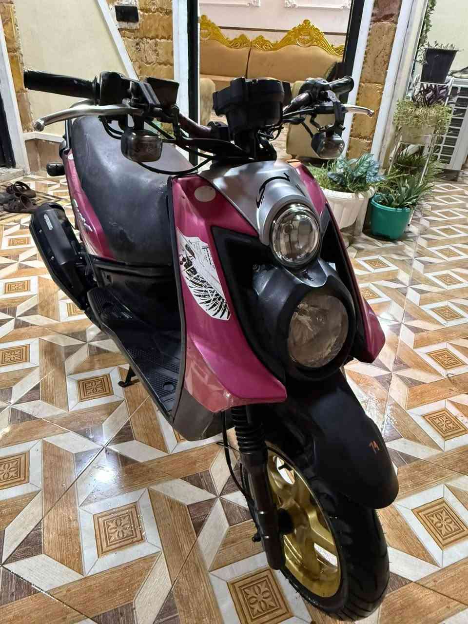 سكنس جبلي • مكفولة • ٢٠١٤