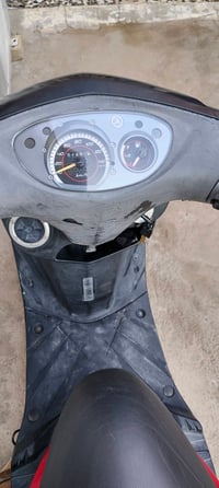 ثعلب gtr رمبة مكفولة السعر 700 للتواصل 07727265722