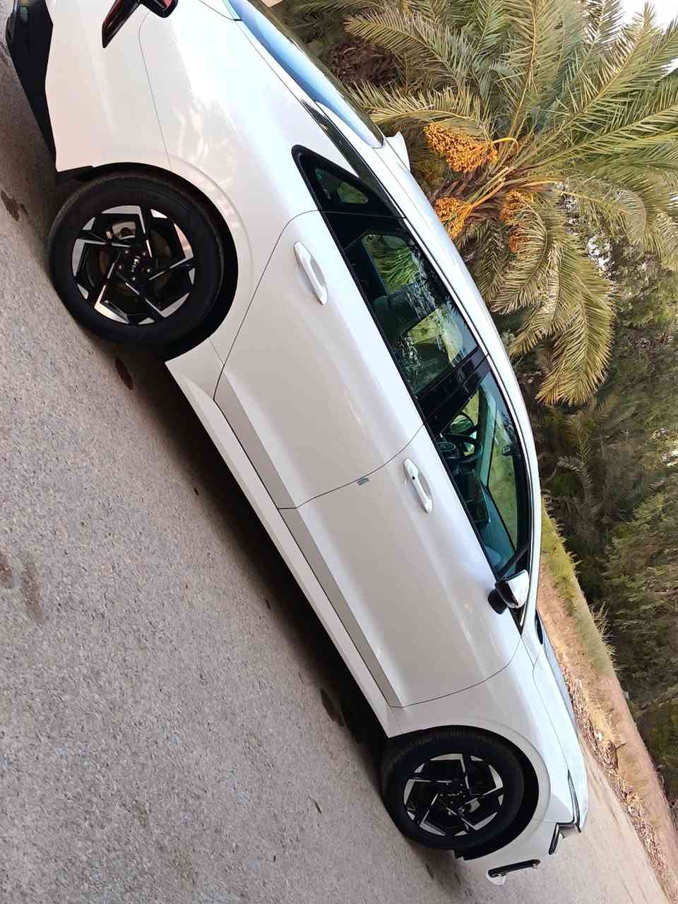 كي فايف موديل 2025خليجي مكفوله رقم بغداد شرط التحويل فول عدا الفتحه ماشيه 1800الف فقط يعني زيرو بعدهي الشراي يتصل ***********
الديوانيه قضاء عفك
ترهم مراوس حسب القناعه
