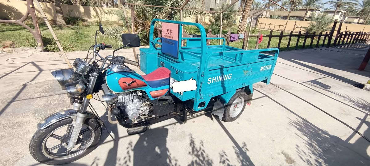 ستوته • مديل ٢٣ • رقم سنويه