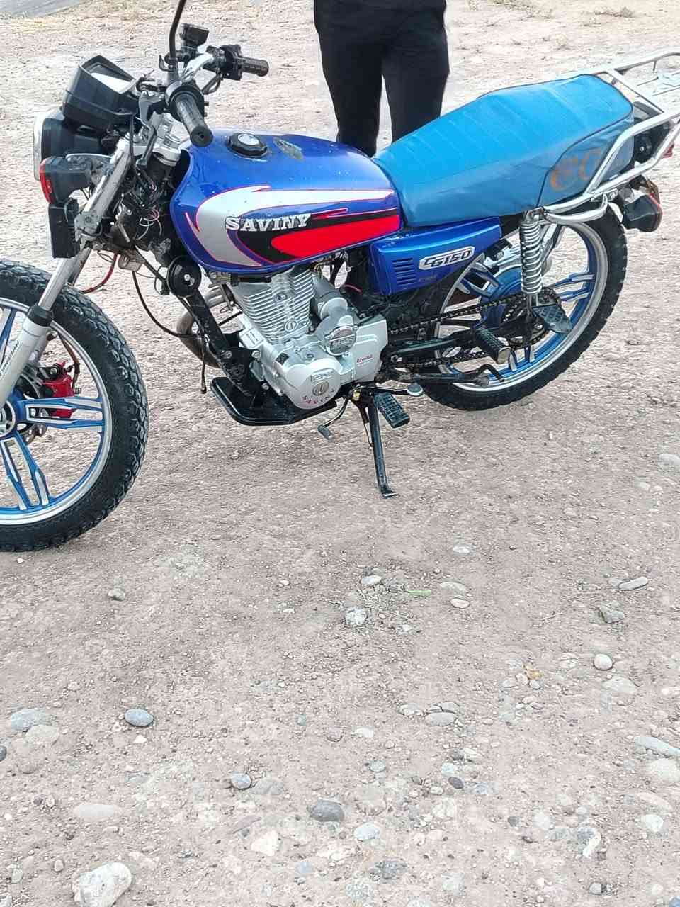 سافيني
