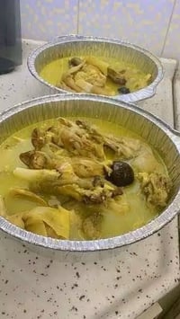 توصيل يومي • باجة وفراسم • بابل الحبيبه