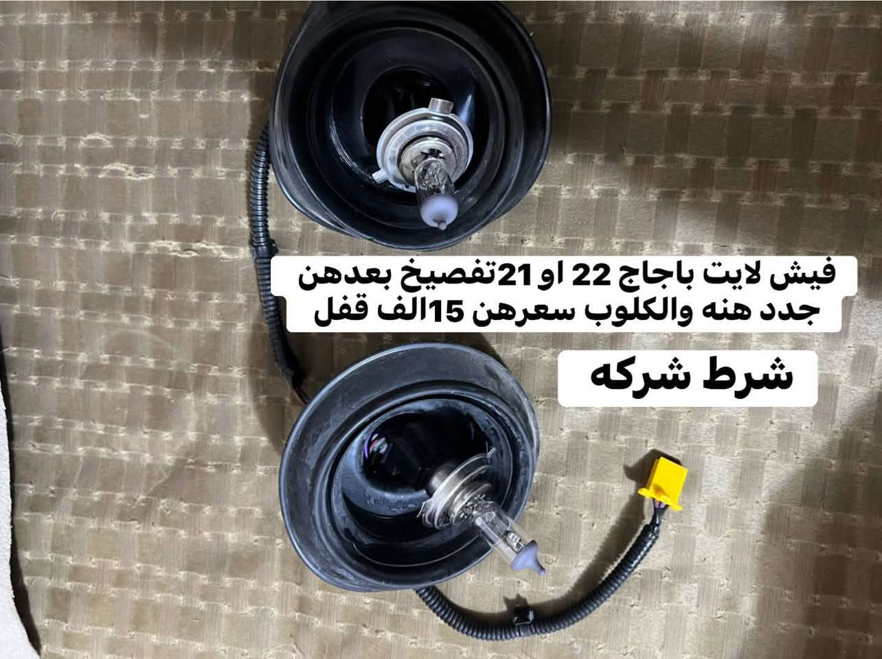 سلام عليكم حبايب غراض البيع شركه مال تفصيخ كلمن او سعره ويها مكاني ناصريه الحبوبي الستفسار ***********

نص مكتوب في الصور:
- مازده تفصيخ شركة مدير 22 او 21 سعره 15 الف قفل التك الأيسر فقط موجود
- فيش لايت باجاج 22 او 21 تفصيخ بعدهن جدد هنہ والكلوب سعرهن 15 الف قفل شرط شركه
- فيش لايت باجاج 22 او 21 تفصيخ بعدهن جدد هنە والكلوب سعرهن 15الف قفل شرط شركه
- راصطه هورن بوش تفصال سعره 10 الف قفل
- راصطه هورنات بوش او سيدان تفصال سعره 10الف قفل