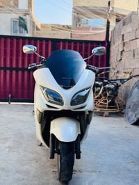 فورزا • ٠٨ • ورقات