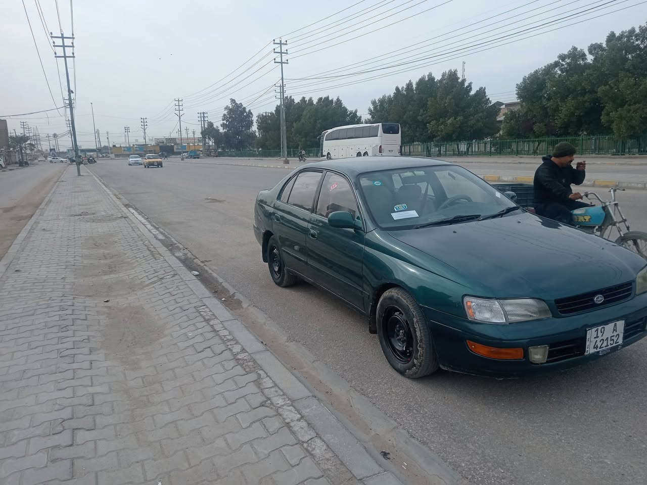 كورونا • رقم كربلاء • نجف