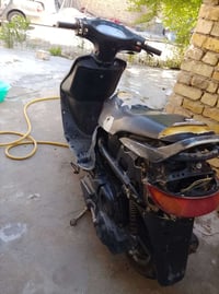 فراشه • فحل • مامفتوحه