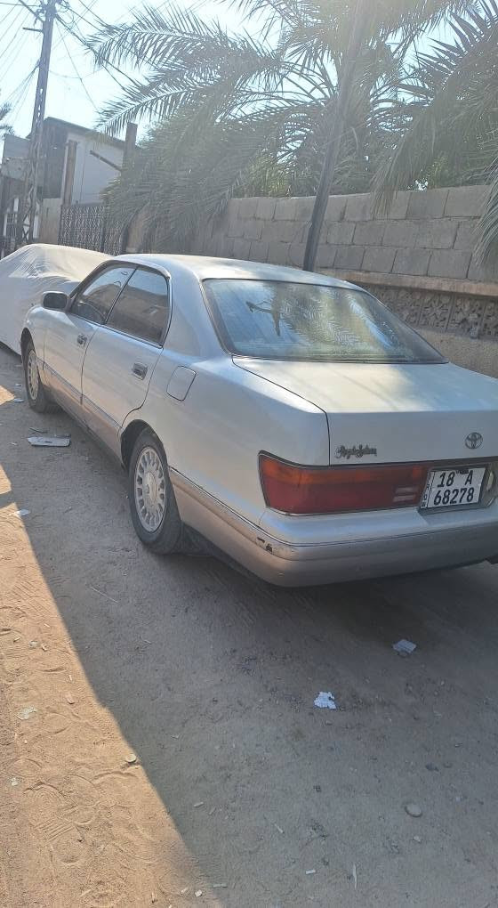 بطة منفصل • سنوية منتهية • ابي الخصيب