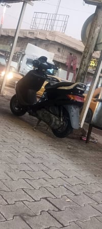 فراشة • كفاله • ٣ اشهر