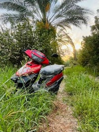 دراجه للبيع السعر200 بيها مجال الرقم07768426780 الواتساب خابروني محرك ...