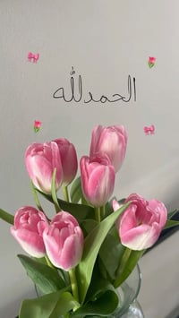 ارض للبيع بالورديه شارع المشجر طابوا زراعي 25 المساحه 130 السعر 11 ملي...