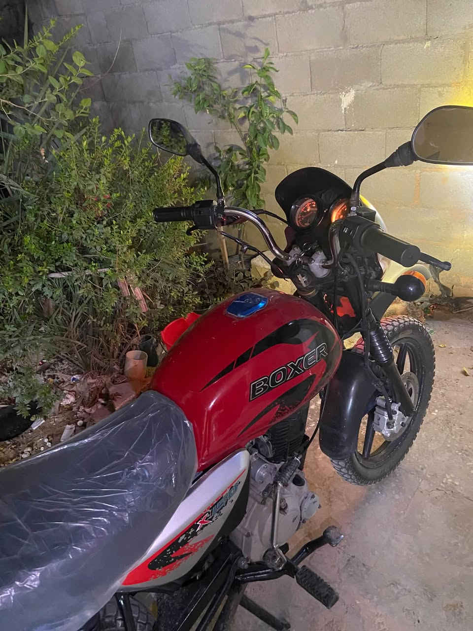 بوكسر ٢٢ بدون أوراق اكفلها حلال وحرام وسرقه دراجه كامله مكمله كهربائيات منضومه زنون سلف هندر دراجه مال بيت نضيفه مكينه مجفته جفتت قبل ١٠ ايام وماطالع بيها دخانه من تحمه تكطع مال سحك كلشيء شغال بيها ماعوزها شيء 
مكاني شعب نهايه حي اور سعر 850 وبيها مجال بسيط تواصل ***********
