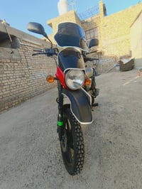 بوكسر • جبلي • موديل ٢١