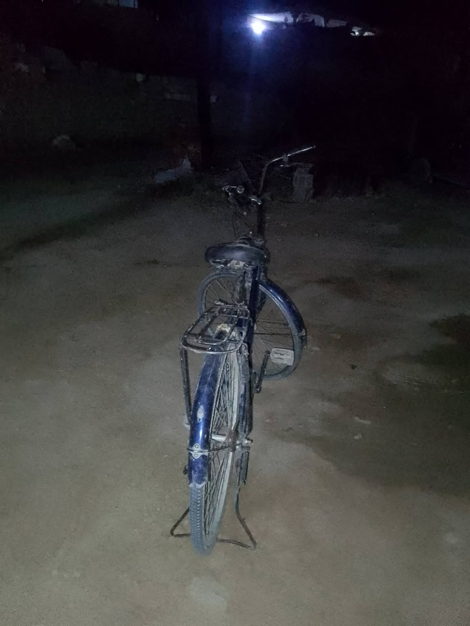 باسكل • مقاس ٢٦ • جديد