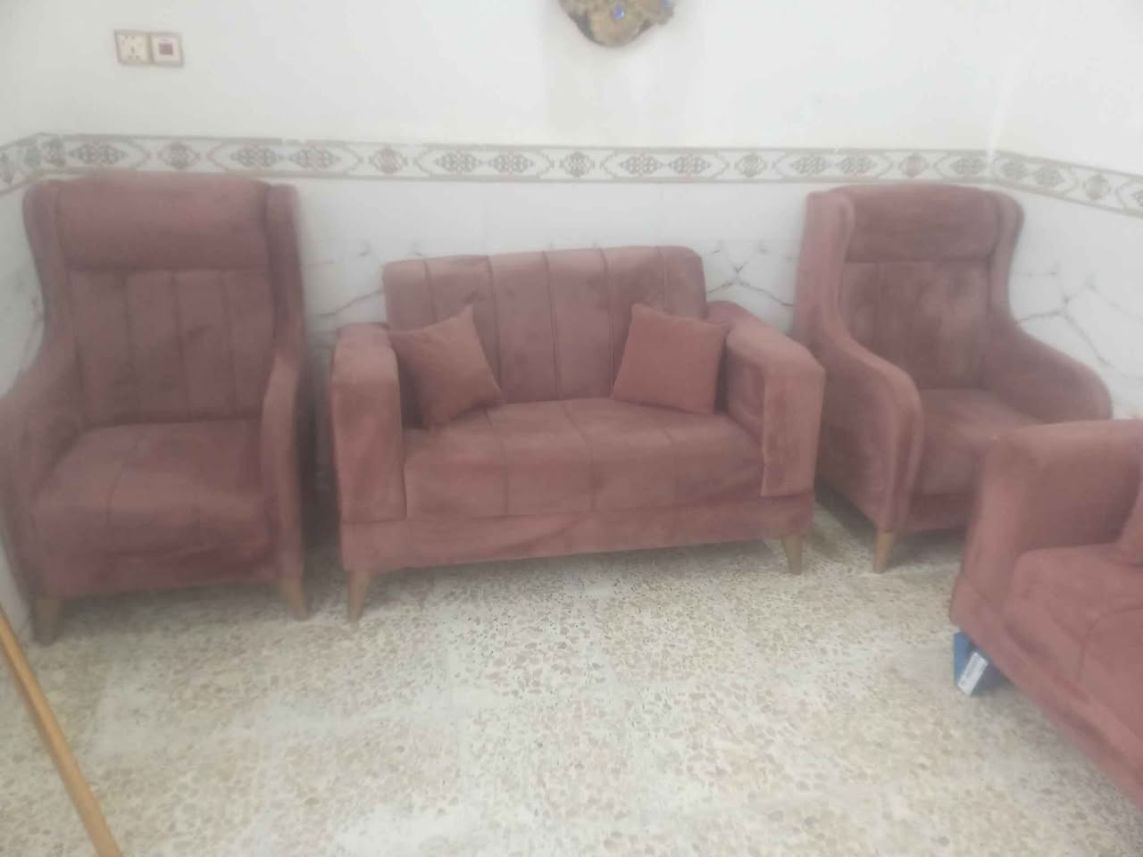 ‎تخم قنفات النوعيه زينه  ***********‎ النجف, العراق
