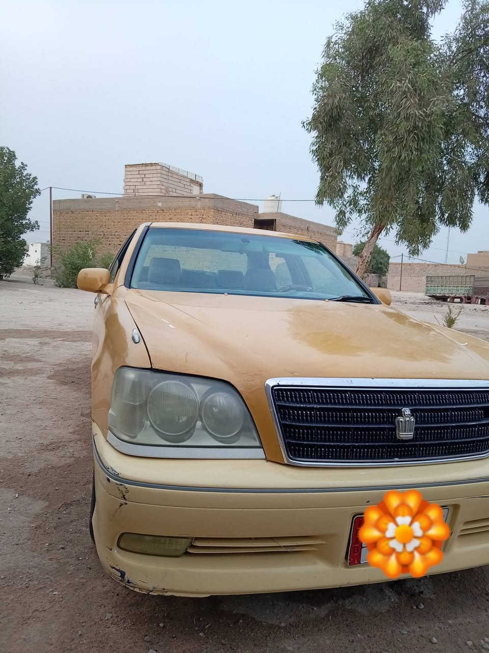 كراون ملكه • صفره • مكينه وكير مكفولات